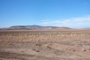 A l'ouest de Chemmora djebel Bou Arif