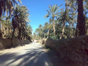 Une allée dans la commune de Chetma