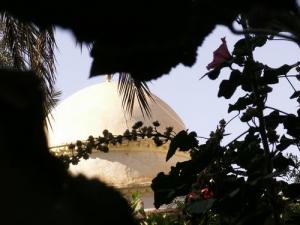 La coupole Zaouia Sidi Mohamed Lakhdar