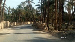 Paysage à la sortie de Biskra