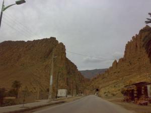 Les Gorges d'El-Kantara à Biskra