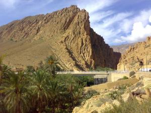 Les Gorges d'El-Kantara à Biskra