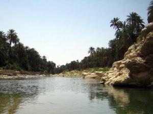 Paysage magnifique dans la commune de Mchouneche