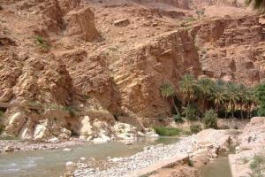 Palmeraie aux abords d'une Oued à Mchouneche