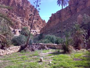 El-kantara à Biskra c'est la limite Nord du Sahara, les premiers palmiers dont la datte arrive à maturité font leur apparition