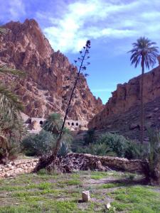 El-kantara à Biskra c'est la limite Nord du Sahara