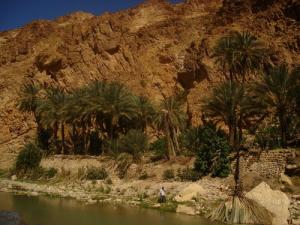 Les Gorges de Mchouneche