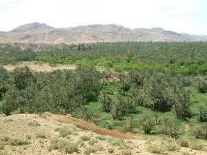 La Palmeraie de Djemorah