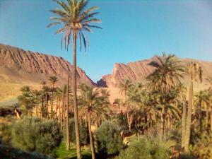 Les gorges d'El Kantara ( BISKRA)