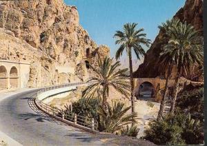 La commune d'El-Kantara (Biskra)