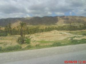 La commune d'El-Kantara (Biskra)