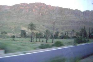 Commune d'El Kantara à Biskra