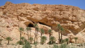 Site Naturel dans la périphérie de Biskra