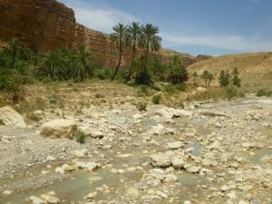 Paysage dans la périphérie de Biskra