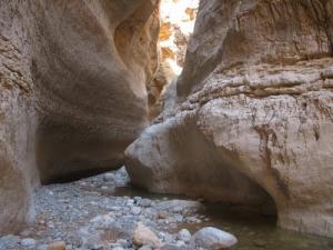 Les Gorges de Biskra