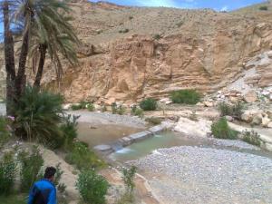 Palmeraie dans la périphérie de Biskra