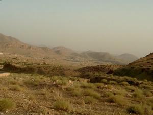 Paysage de Ain Zaatout (Wilaya de Biskra)