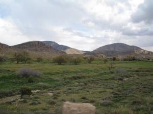 Paysage de Ain Zaatout (Wilaya de Biskra)