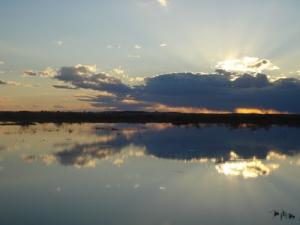 Petit Lac Artificiel dans la périphérie de Biskra