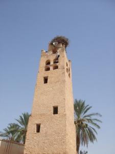 Minaret de l'acienne Mosquée de Biskra