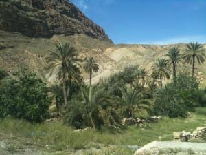 Un site naturel dans la périphérie de Biskra