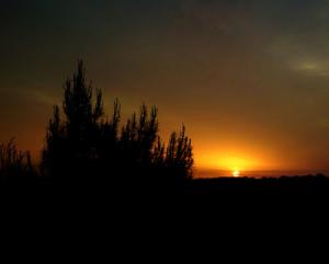 Coucher de Soleil sur Biskra