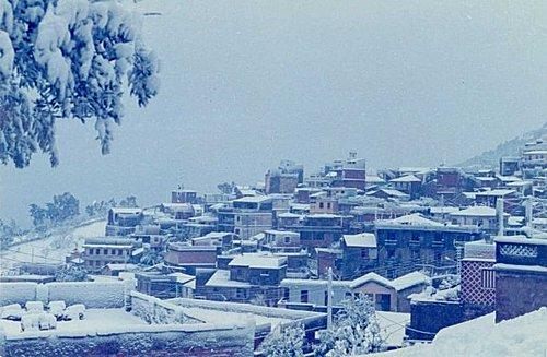 Tiliouacadi sous la neige