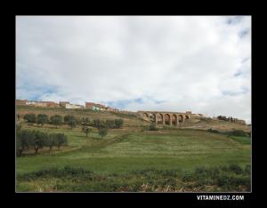 جسر بضواحي مدينة معسكر