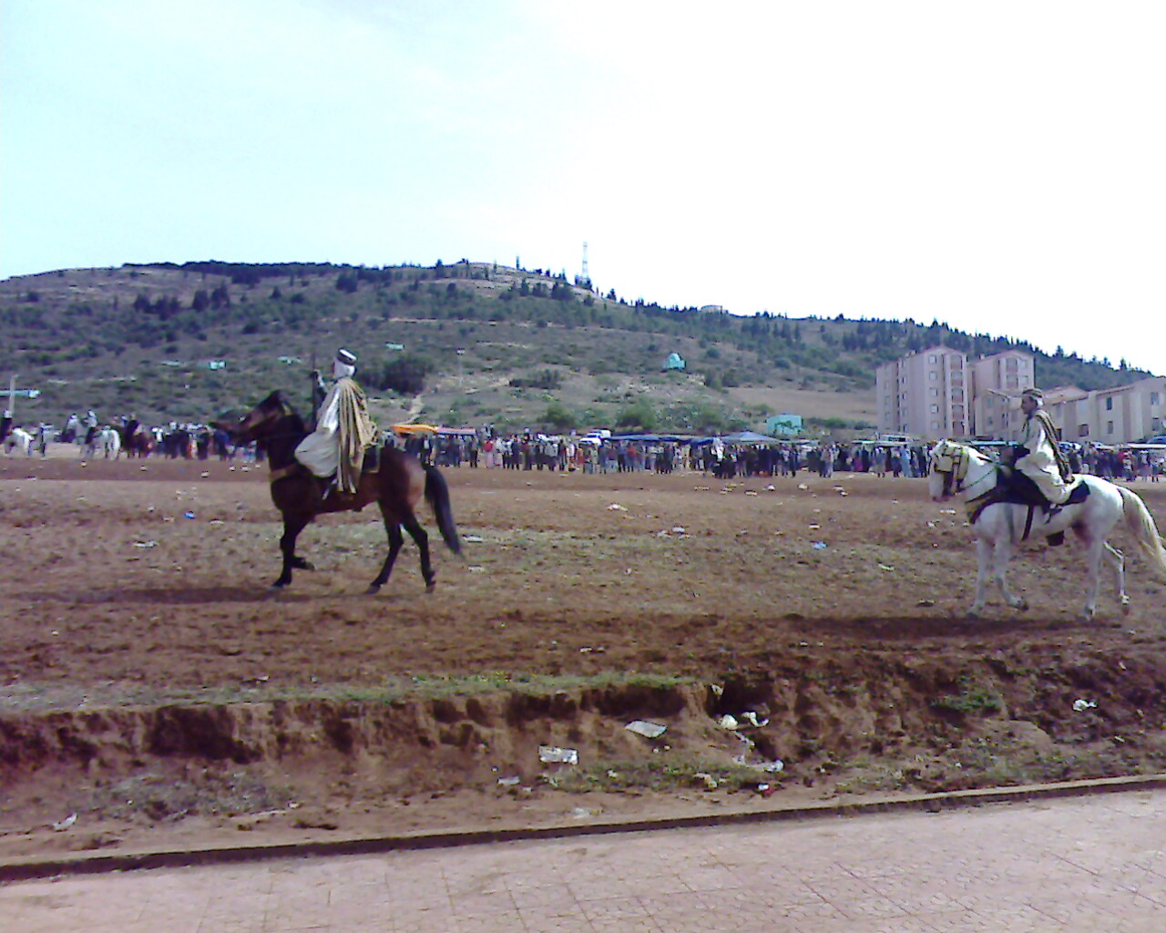 فرسان الوعدة