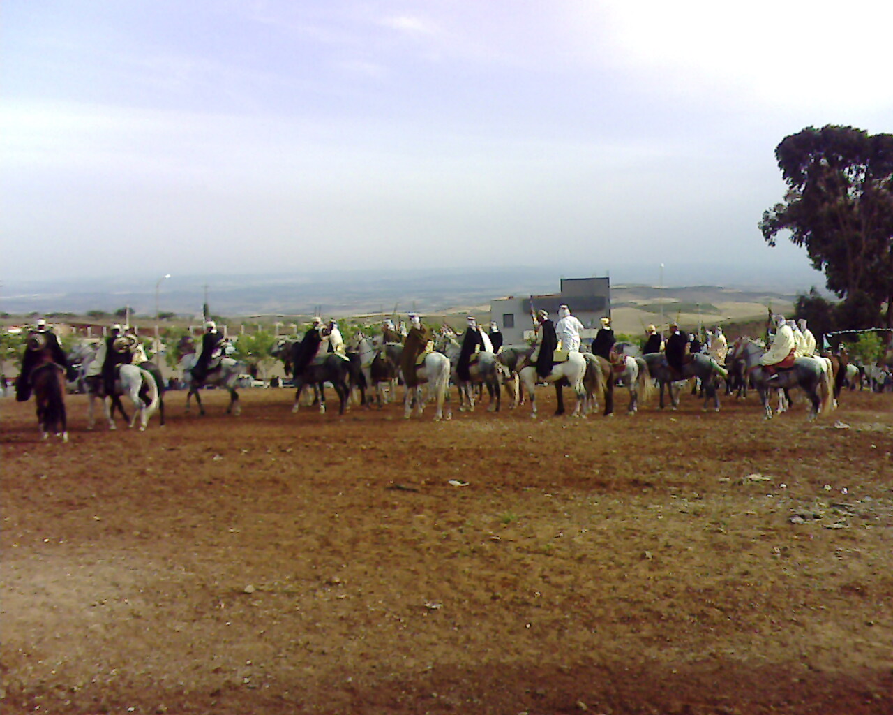 فرسان الوعدة