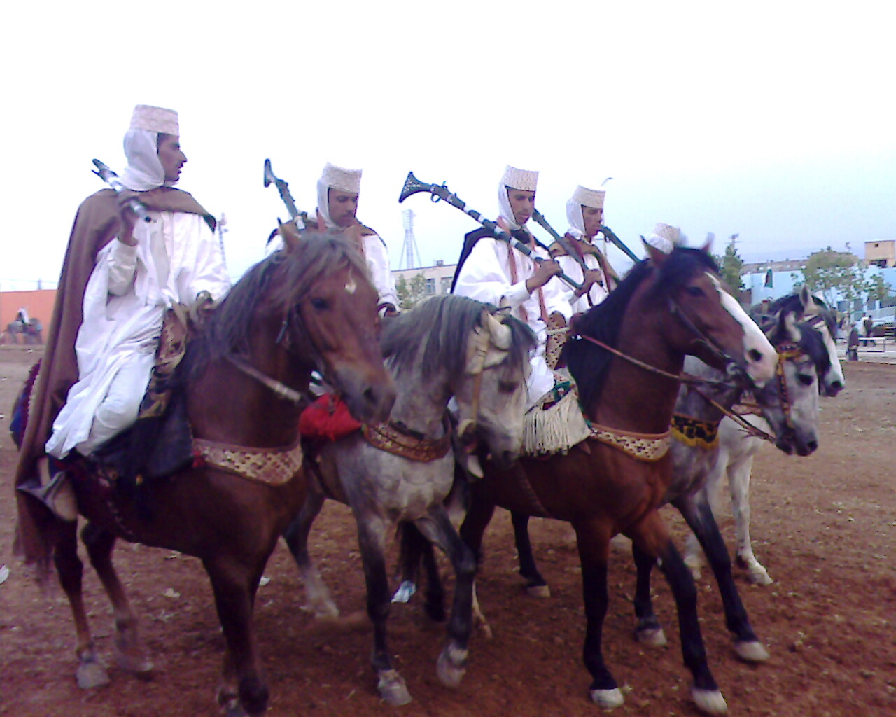 فرسان الوعدة