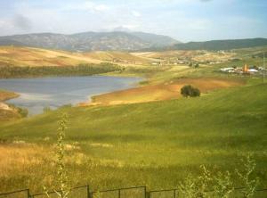 الحقول الخضراء بمنطقة 