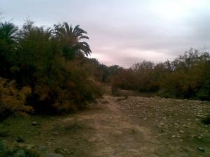 Site naturel dans la périphérie de Biskra