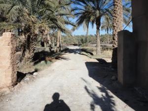 Etrée d'une palmeraie dans la périphérie de Biskra