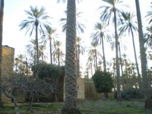 Ancienne frme coloniale aux abord de Biskra