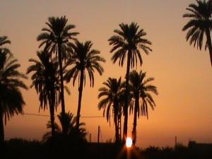 Coucher de Soleil sur Biskra