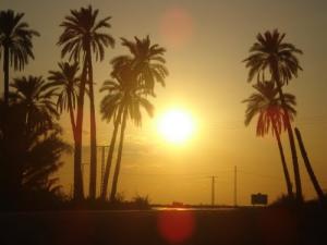 Coucher de Soleil sur Biskra
