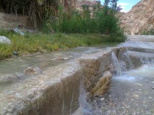 Irrigation d'une palmeraie aux abords de Biskra