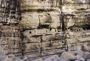 Ce qu'abritent les Montagnes millénaires de Djemina