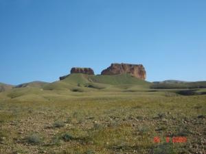Paysage de Biskra au Printemps
