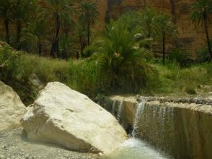 Paysage Féerique dans une Oasis de Djemina