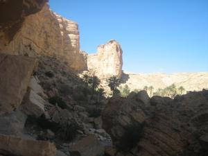 Aux abords de Djemina