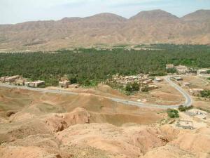 Une Palmeraire de Djemorah