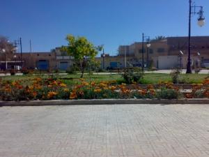 Un jardin au centre ville de Biskra