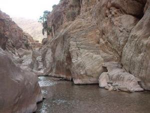 Un Oued traversant les Gorges de Biskra