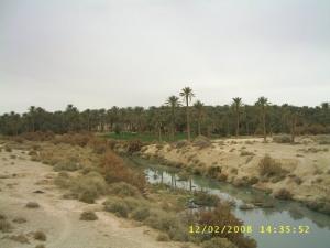 Le Oued de Doucen