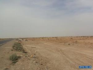 Autoroute sur la périphérie de Biskra