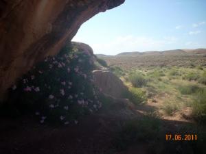 Vue près d'Ain Naga