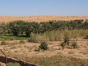 Une Oasis à l'entrée de Bechar