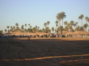 Festival Folklorique à Béchar